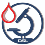 hindi dayaksonslab blog